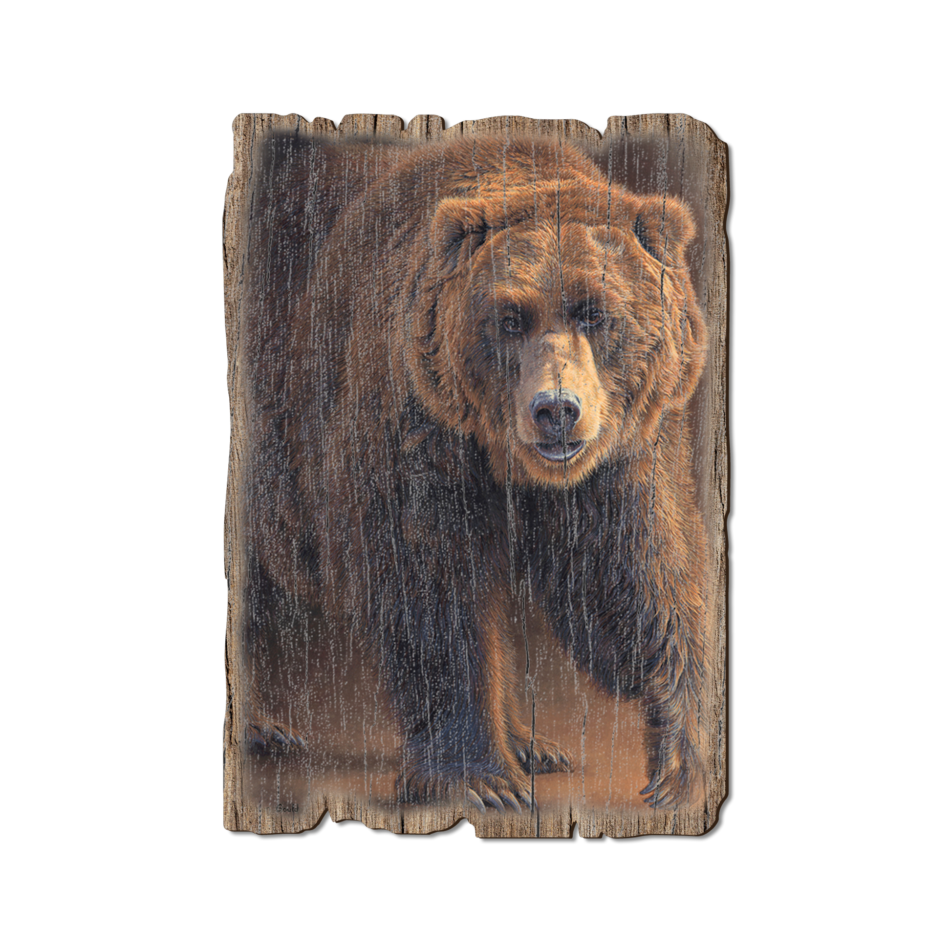 Greeting Card: Weathered Edge - Gould's Close Encounters