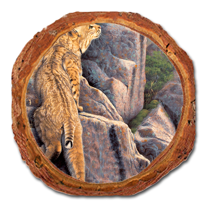 Coaster: Live Edge - Gould's Enchanted