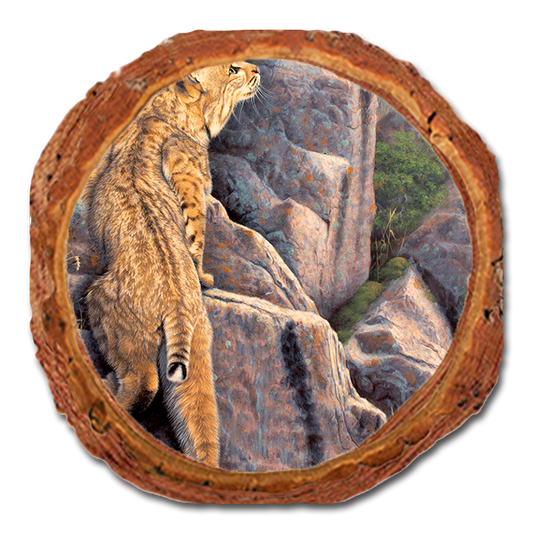 Coaster: Live Edge - Gould's Enchanted