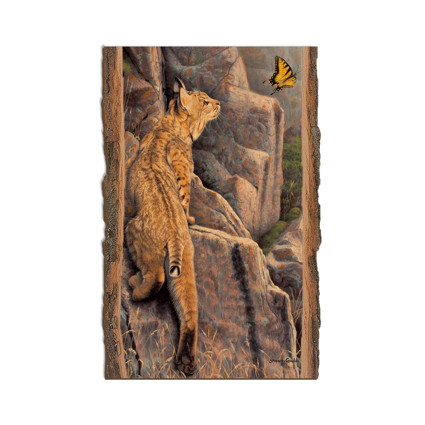 Gould's Enchanted - Live Edge Live Edge Magnet (5pk // $2.80ea)