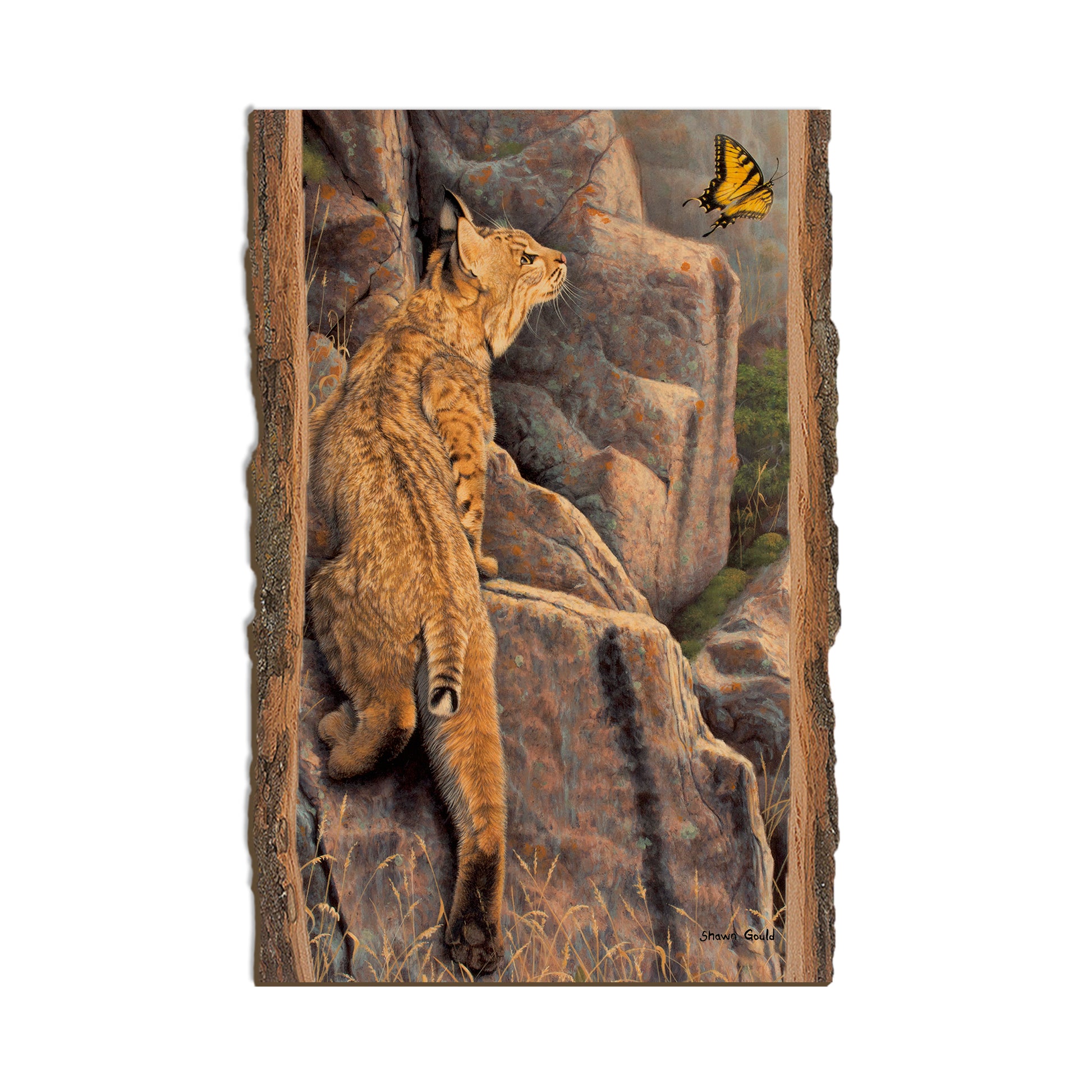 Gould's Enchanted - Live Edge Live Edge Postcard (5pk // $2.80ea)