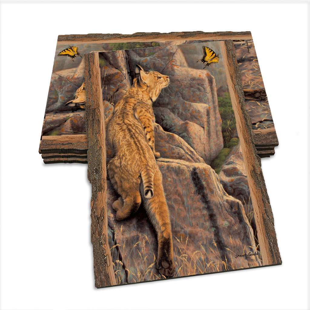 Gould's Enchanted - Live Edge Live Edge Postcard (5pk // $2.80ea)