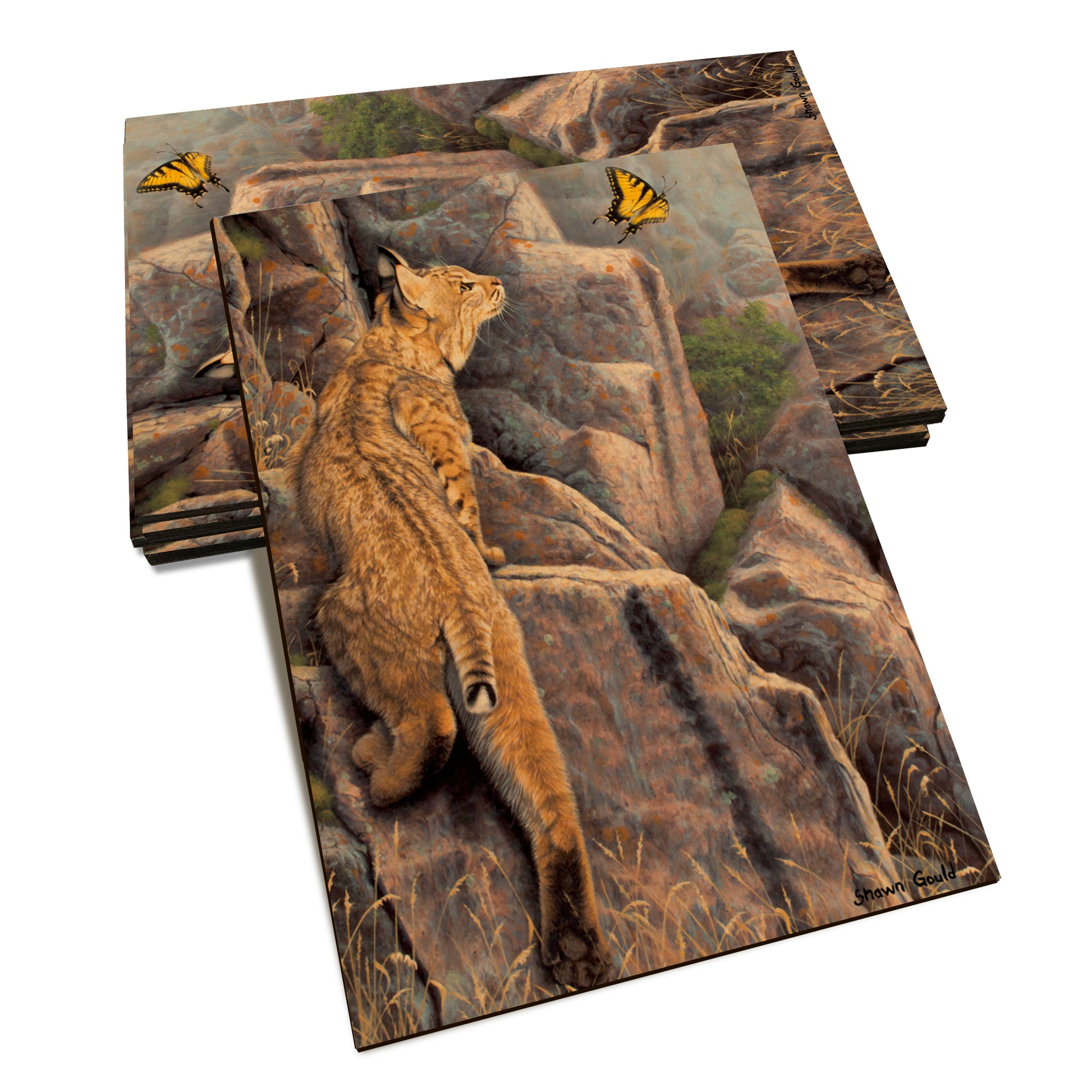 Gould's Enchanted - Classic Edge Classic Edge Postcard (5pk // $2.80ea)