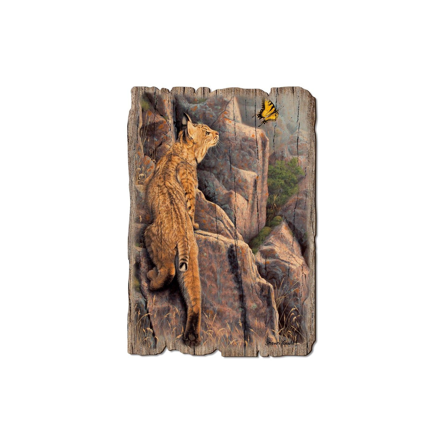 Gould's Enchanted - Rustic Edge Postcards & Magnets Rustic Edge Magnet (5pk // $2.80ea)