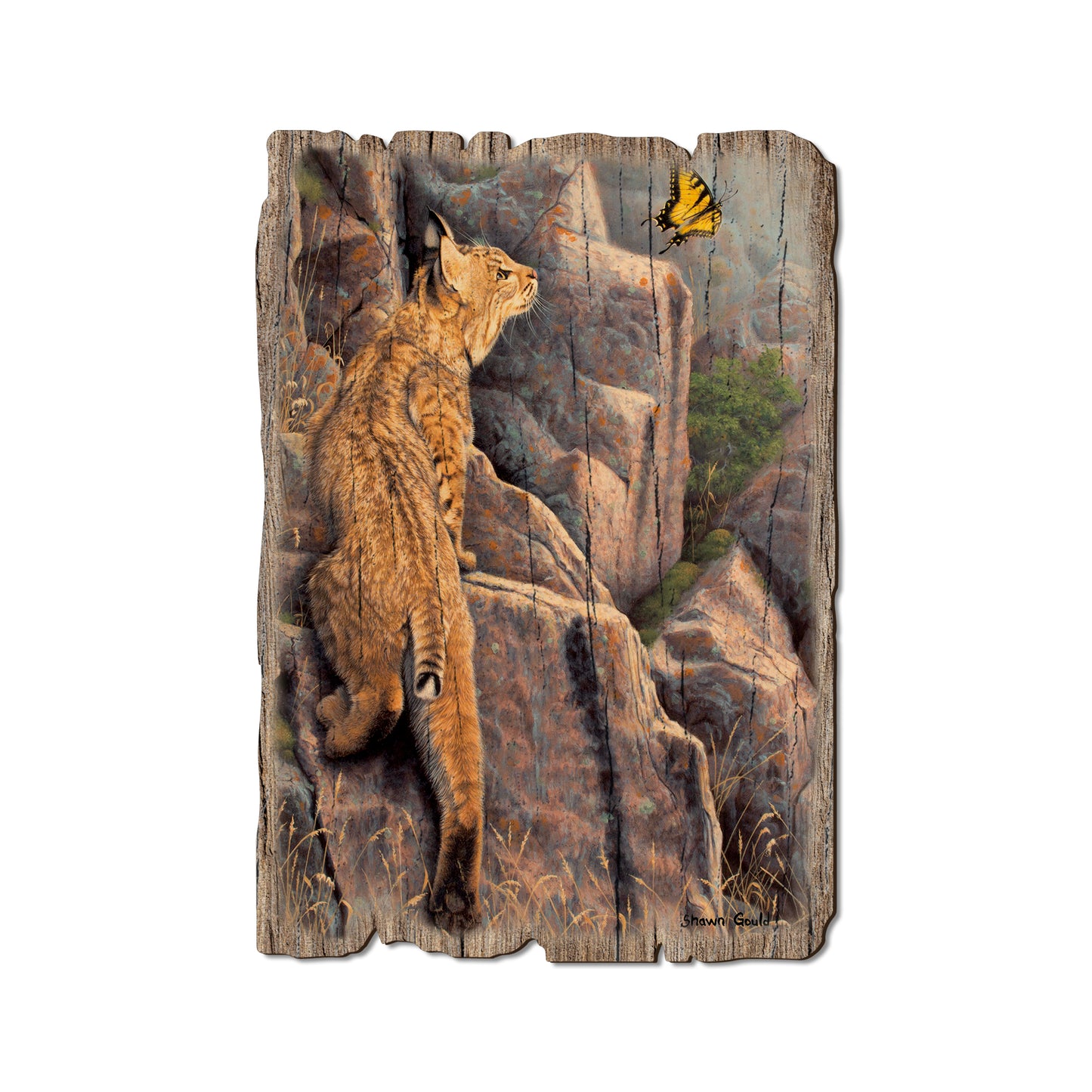 Gould's Enchanted - Rustic Edge Postcards & Magnets Rustic Edge Postcard (5pk // $2.80ea)