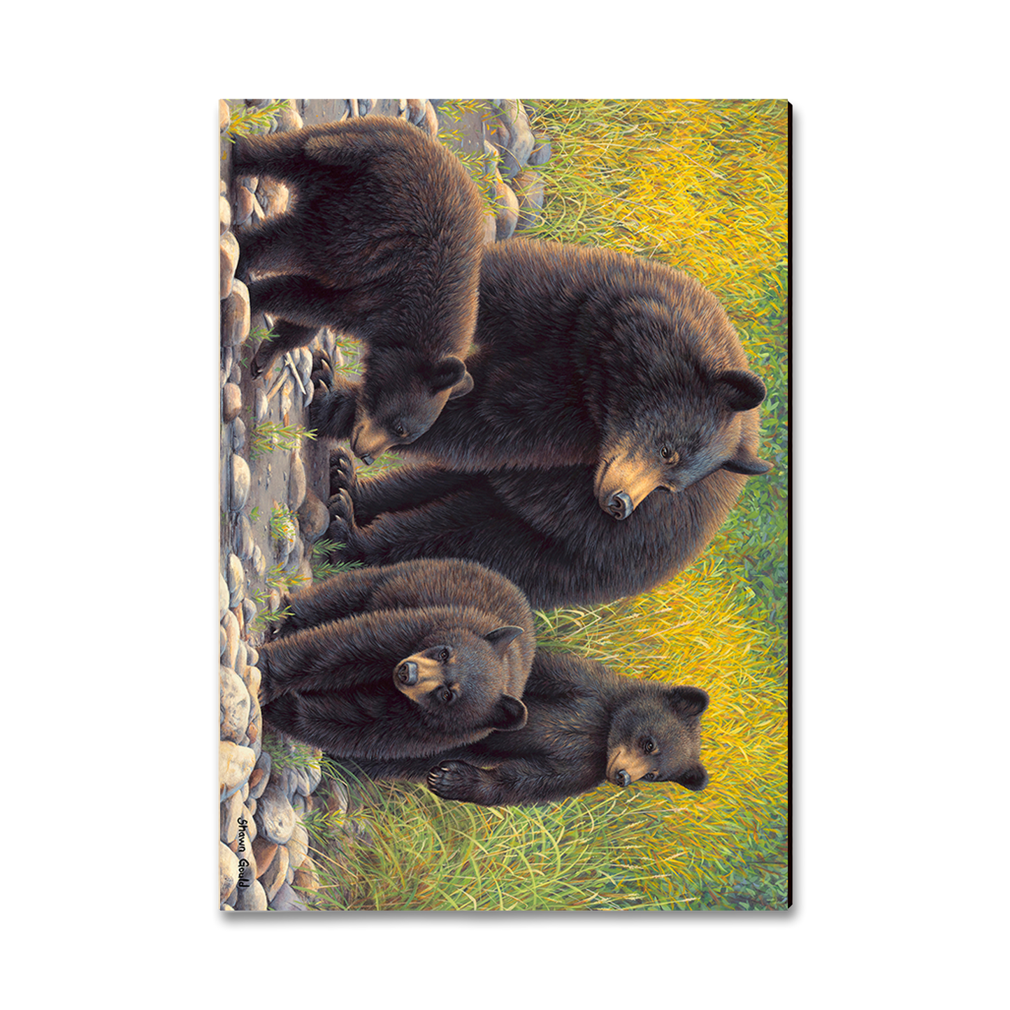 Postcard: Classic Edge - Gould's Family Outing