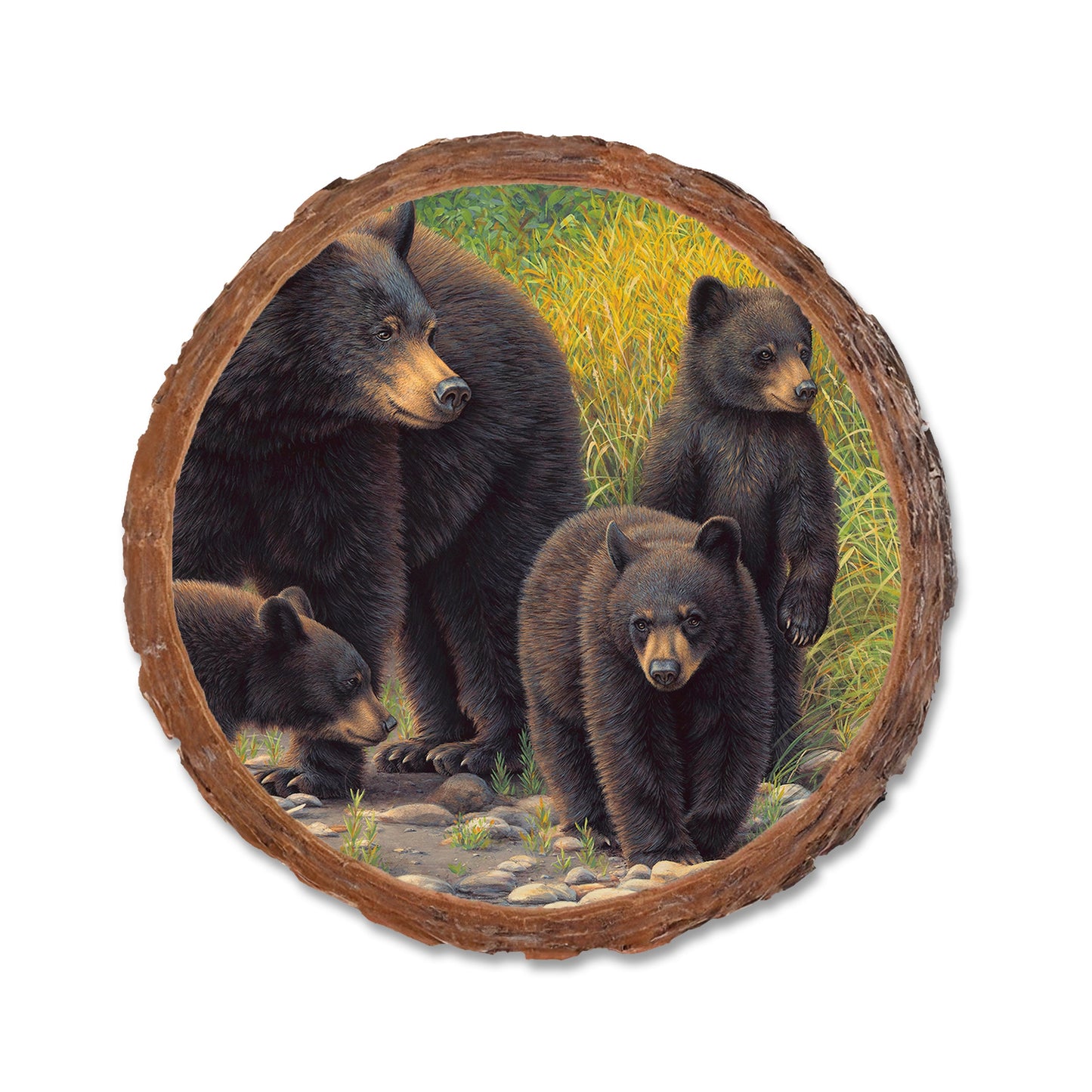 Gould's Family Outing - Live Edge Live Edge Coaster (5pk // $2.80ea)