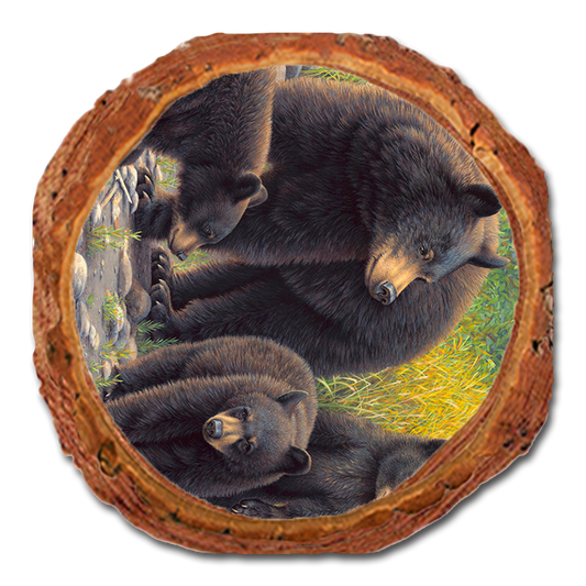Coaster: Live Edge - Gould's Family Outing
