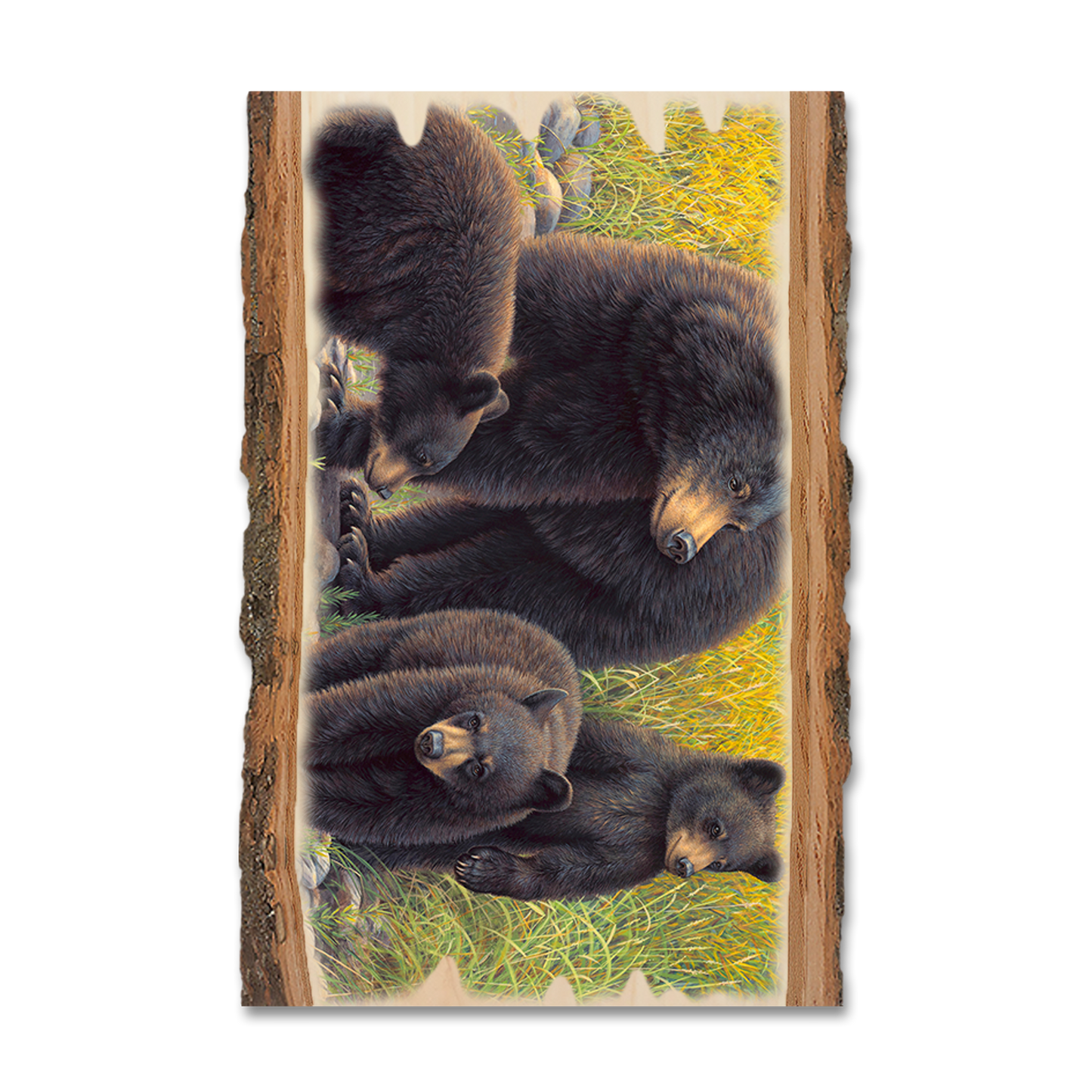 Greeting Card: Live Edge - Gould's Family Outing