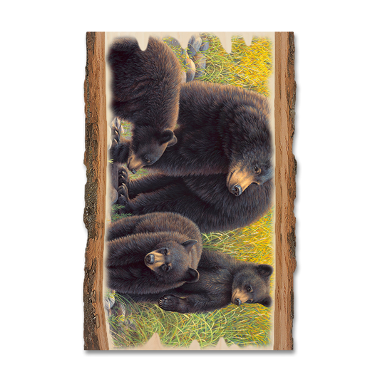 Greeting Card: Live Edge - Gould's Family Outing