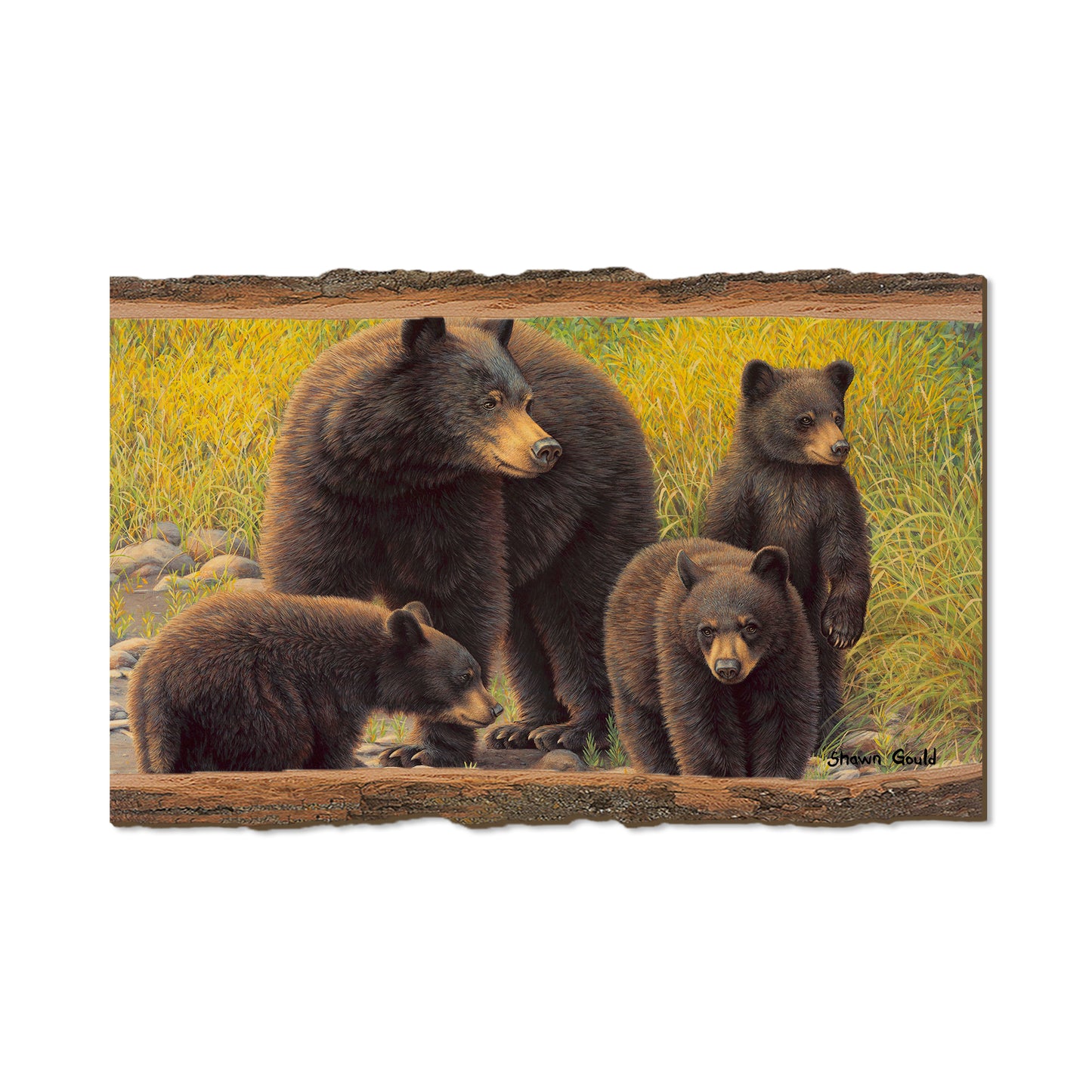Gould's Family Outing - Live Edge Live Edge Magnet (5pk // $2.80ea)