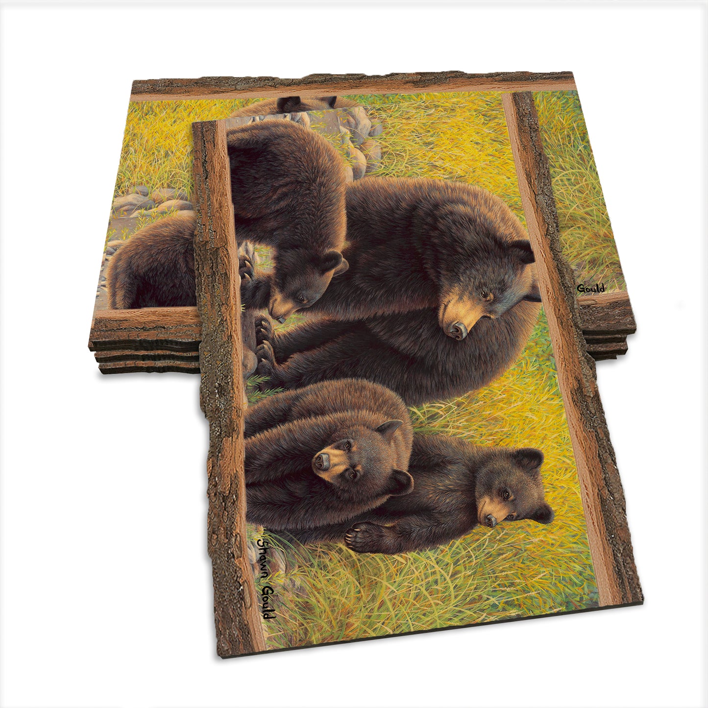 Gould's Family Outing - Live Edge Live Edge Postcard (5pk // $2.80ea)