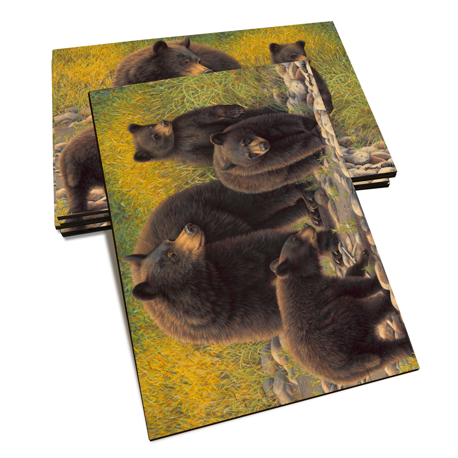 Gould's Family Outing - Classic Edge Classic Edge Postcard (5pk // $2.80ea)