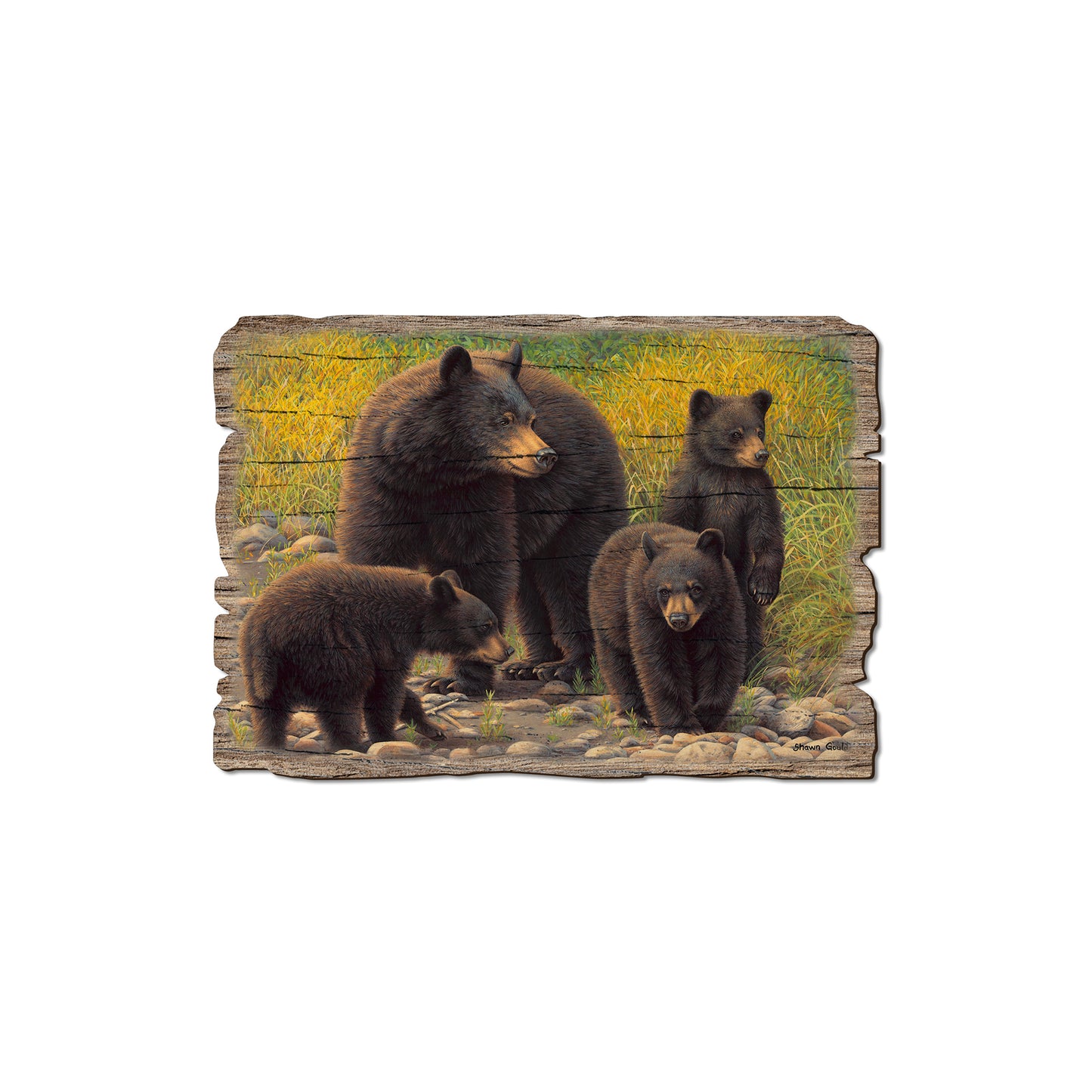 Gould's Family Outing - Rustic Edge Postcards & Magnets Rustic Edge Magnet (5pk // $2.80ea)