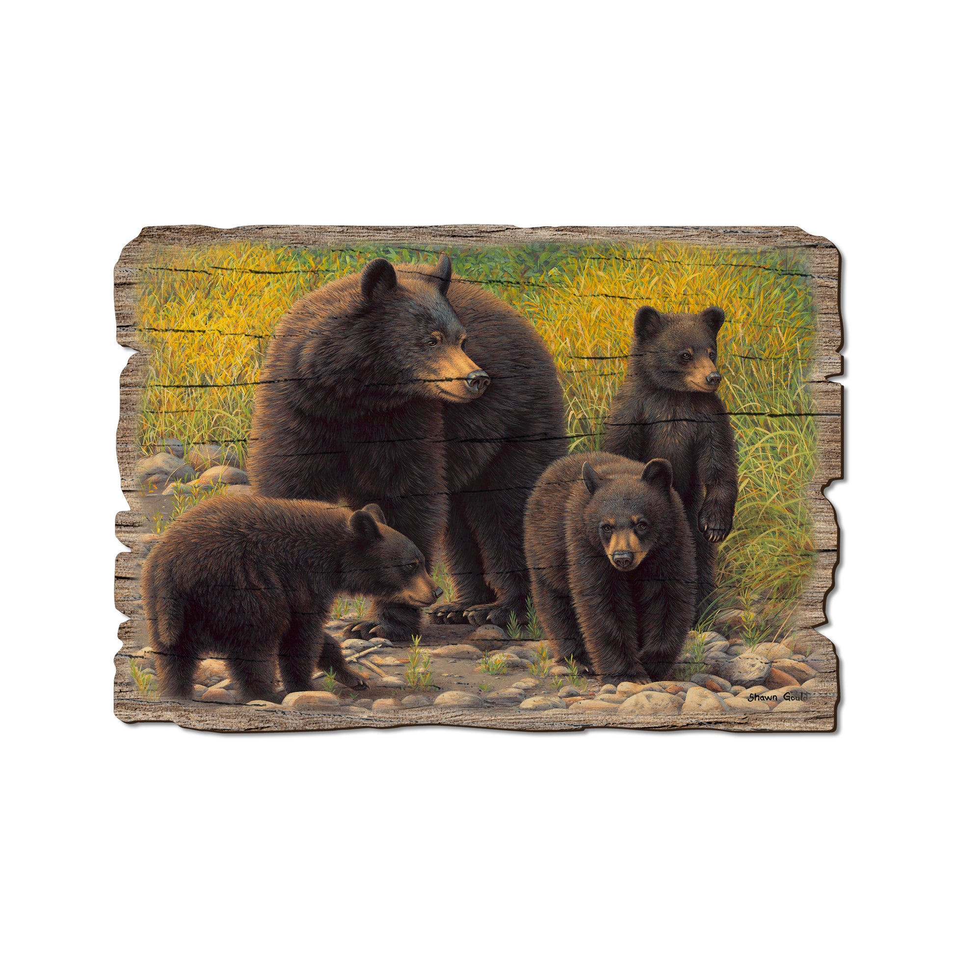Gould's Family Outing - Rustic Edge Postcards & Magnets Rustic Edge Postcard (5pk // $2.80ea)