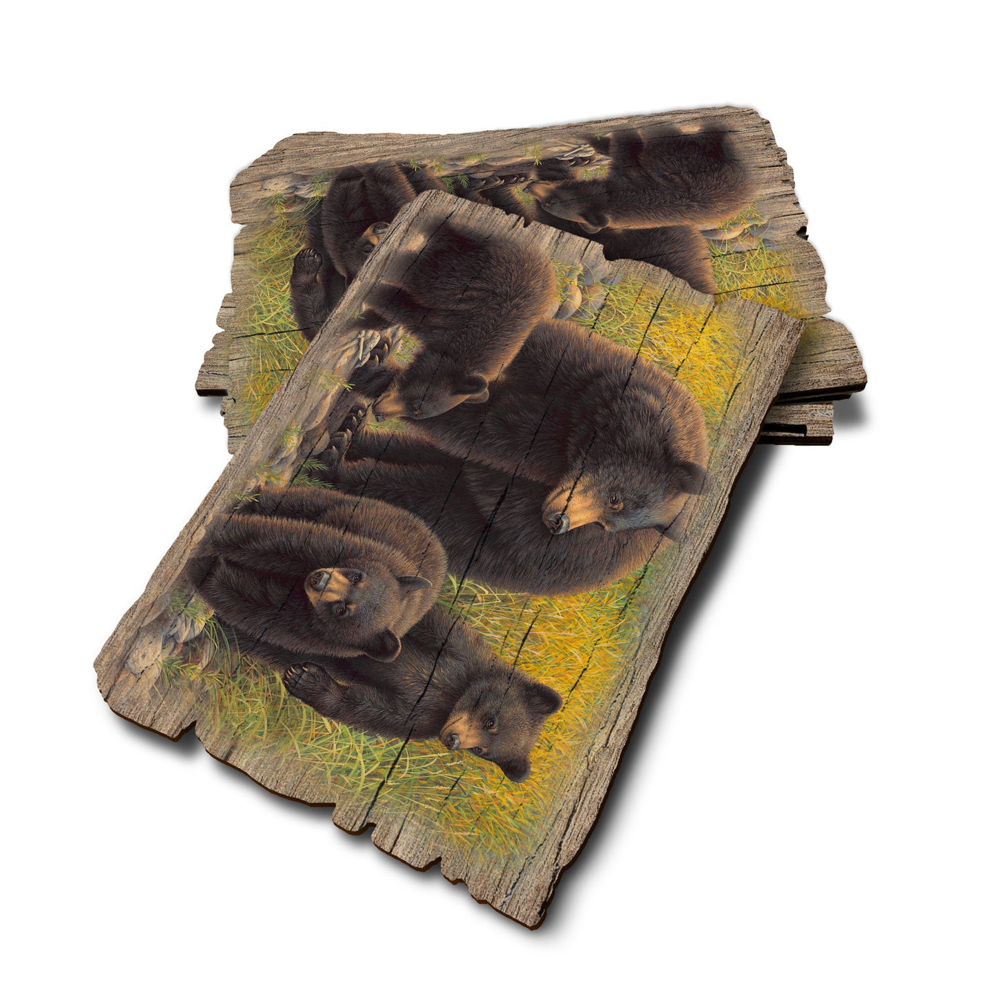 Gould's Family Outing - Weathered Edge Rustic Edge Postcard (5pk // $2.80ea)