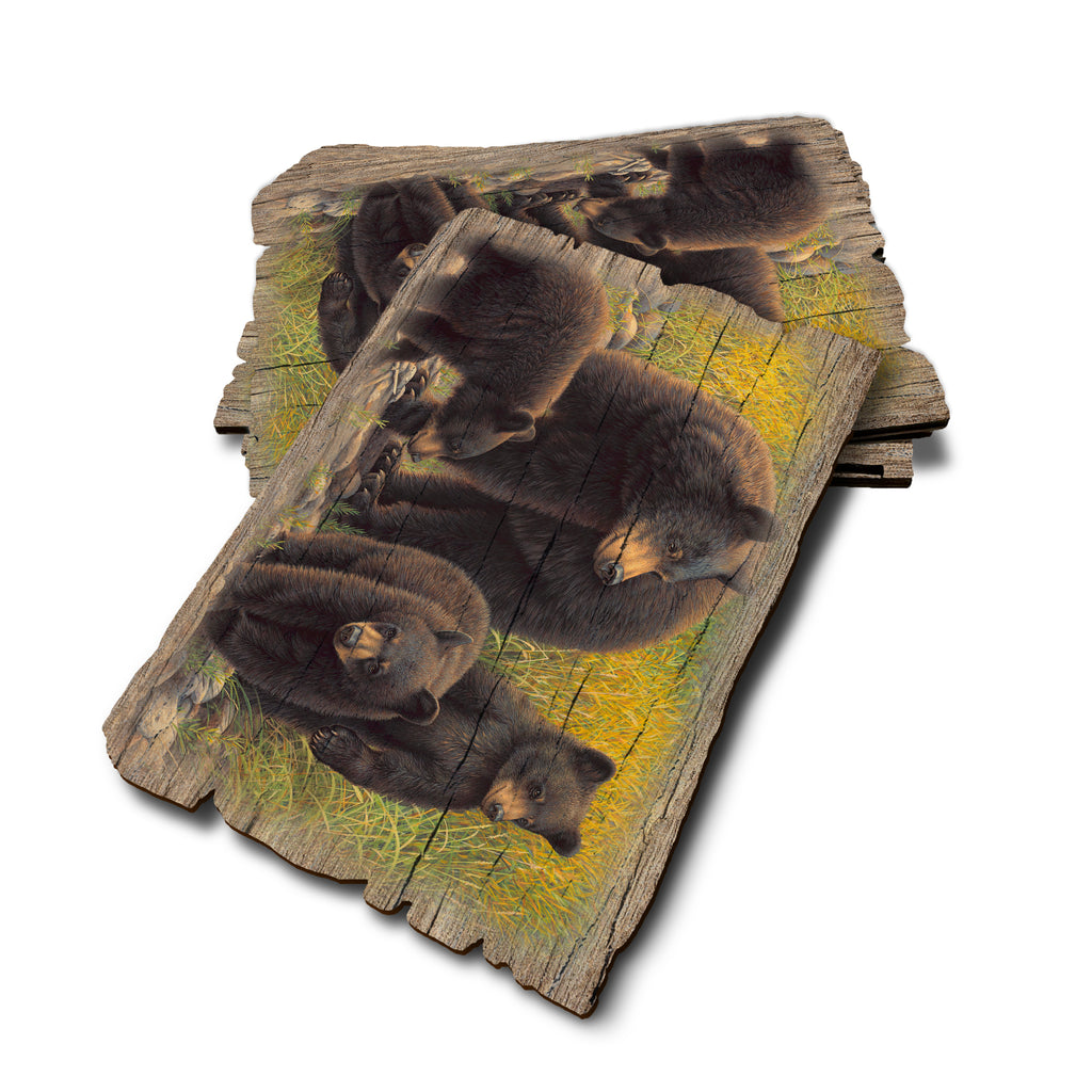 Gould's Family Outing - Weathered Edge Rustic Edge Postcard (5pk // $2.80ea)