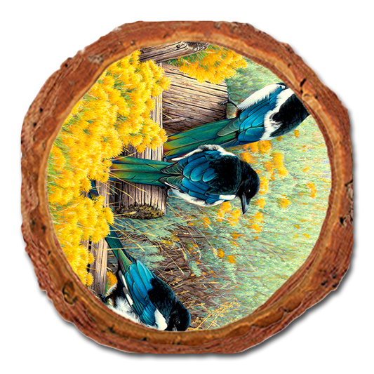Coaster: Live Edge - Gould's Fence Tapestry