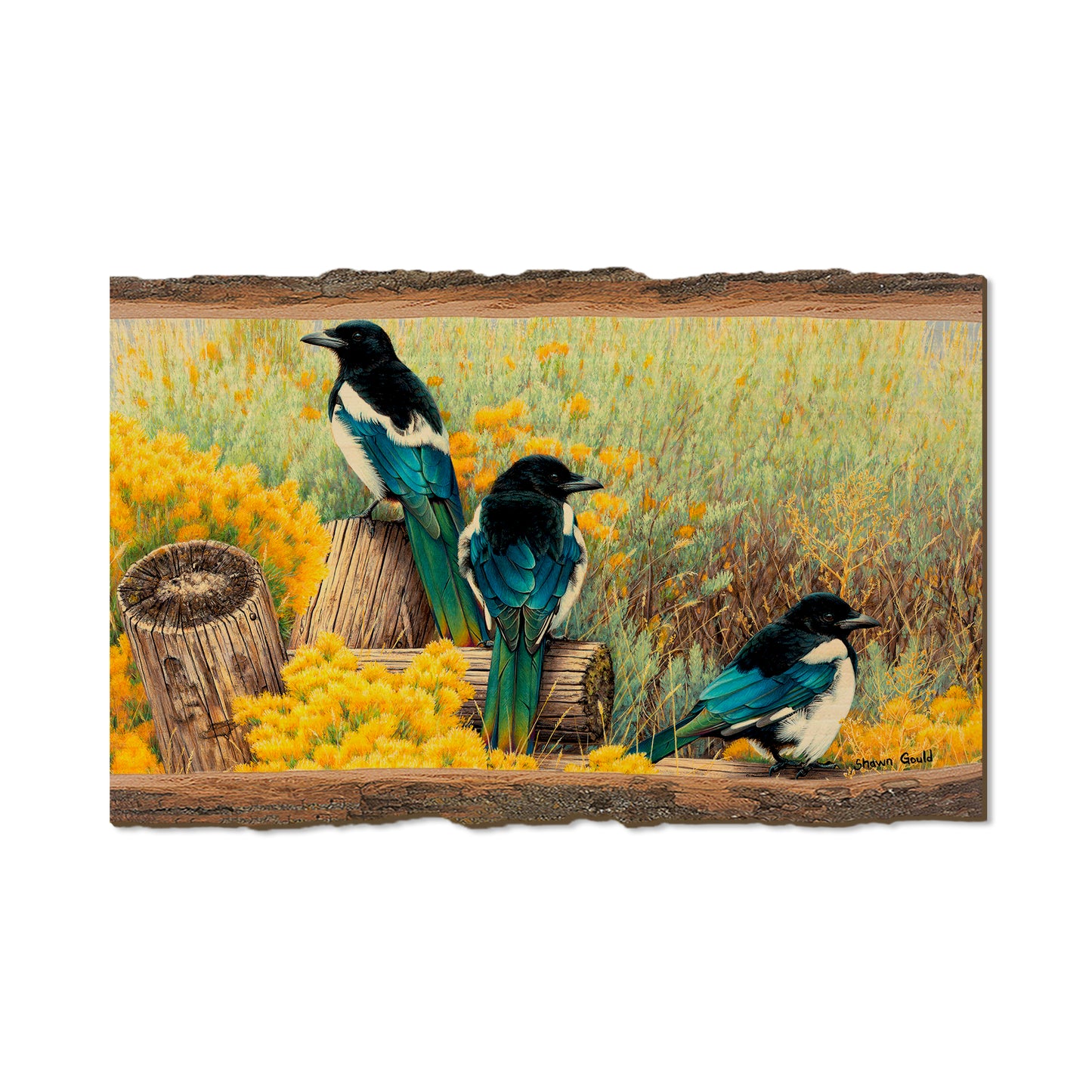 Gould's Fence Tapestry - Live Edge Live Edge Magnet (5pk // $2.80ea)