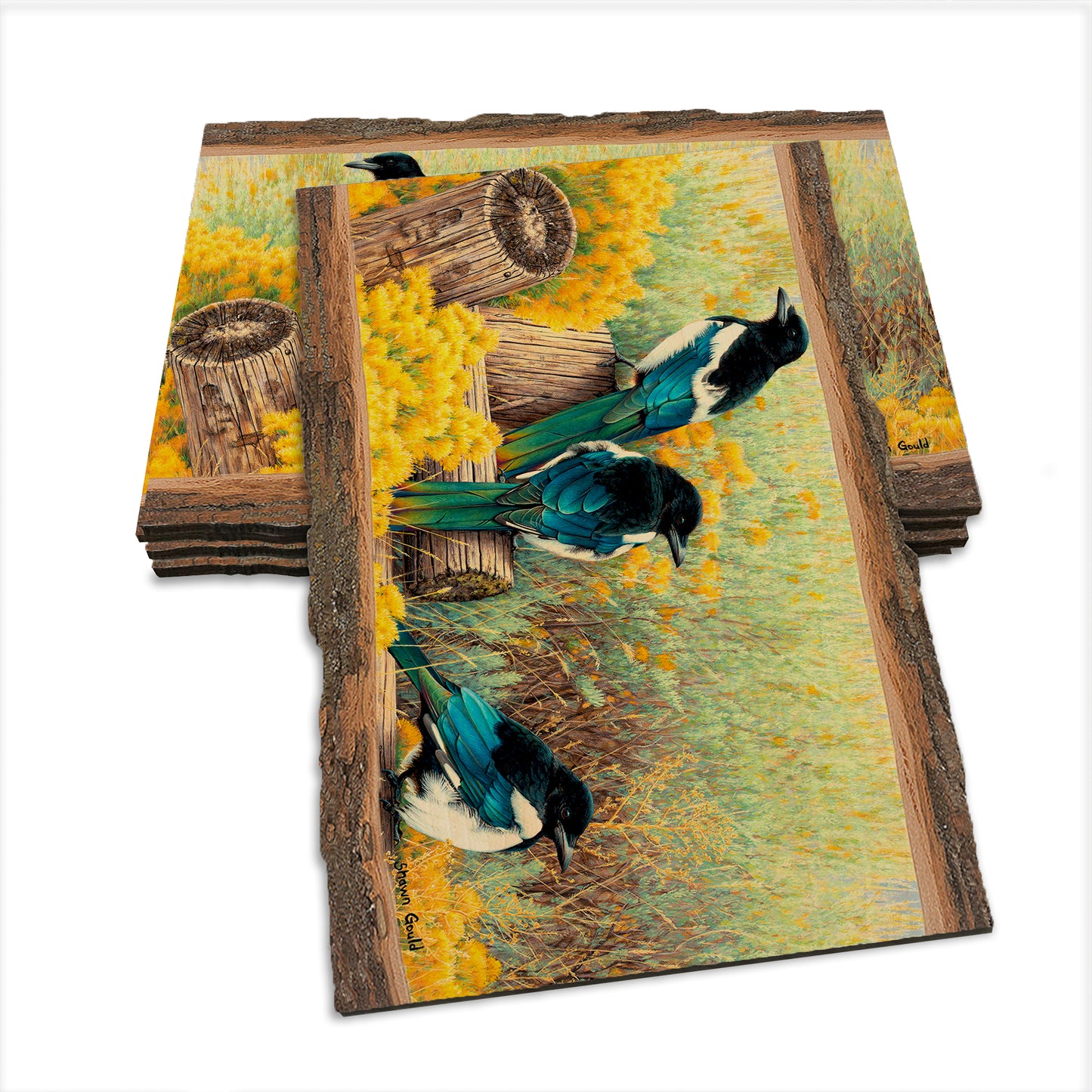 Gould's Fence Tapestry - Live Edge Live Edge Postcard (5pk // $2.80ea)