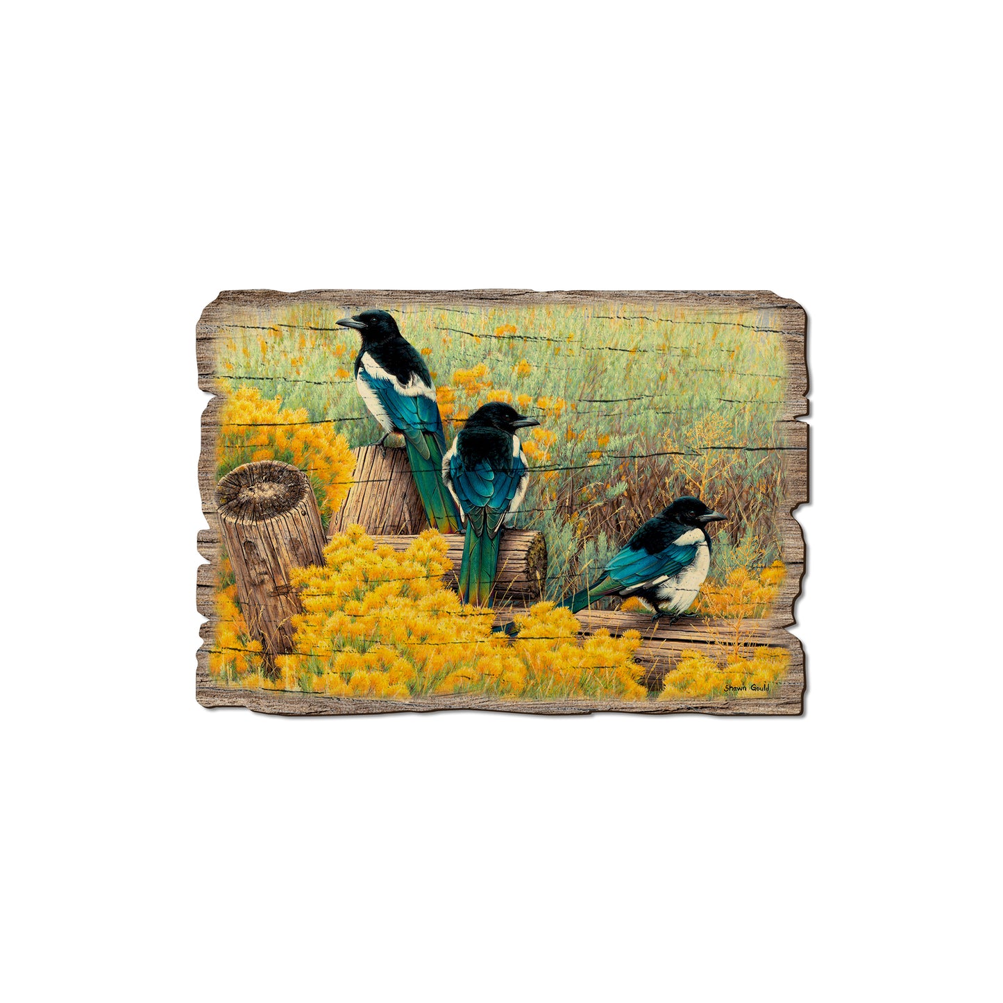 Gould's Fence Tapestry - Rustic Edge Postcards & Magnets Rustic Edge Magnet (5pk // $2.80ea)