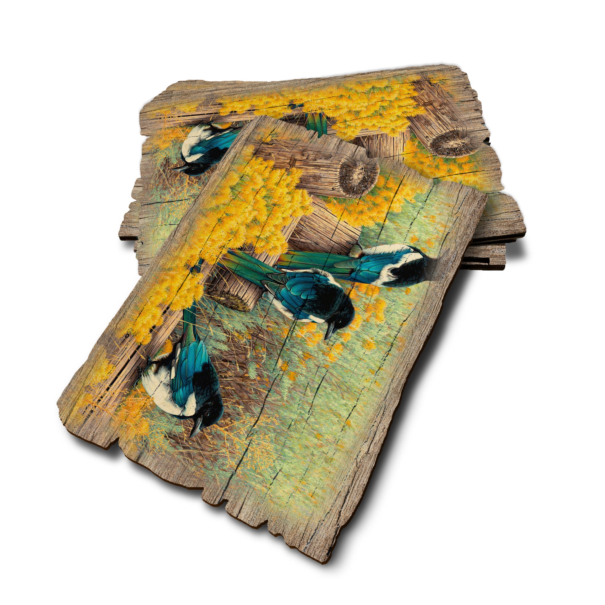 Gould's Fence Tapestry - Weathered Edge Rustic Edge Postcard (5pk // $2.80ea)