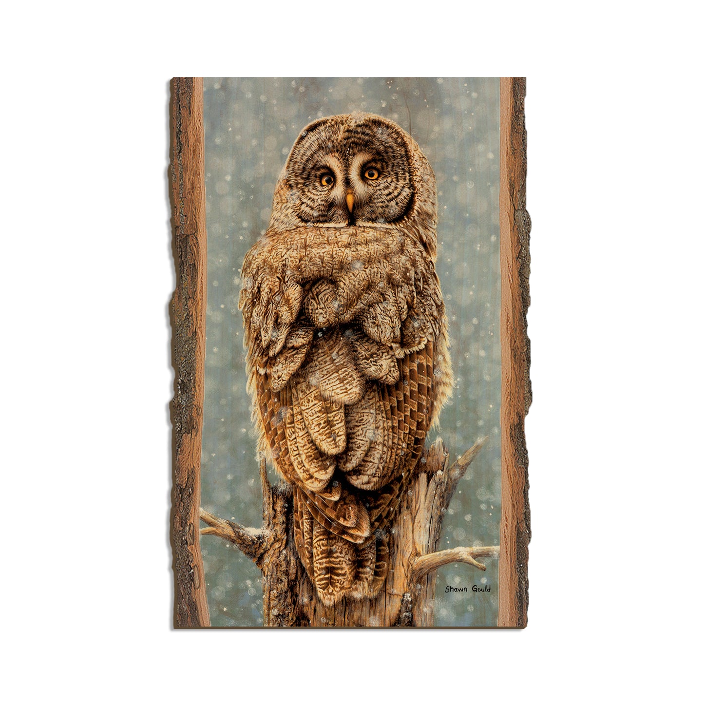 Gould's Great Gray - Live Edge Live Edge Magnet (5pk // $2.80ea)