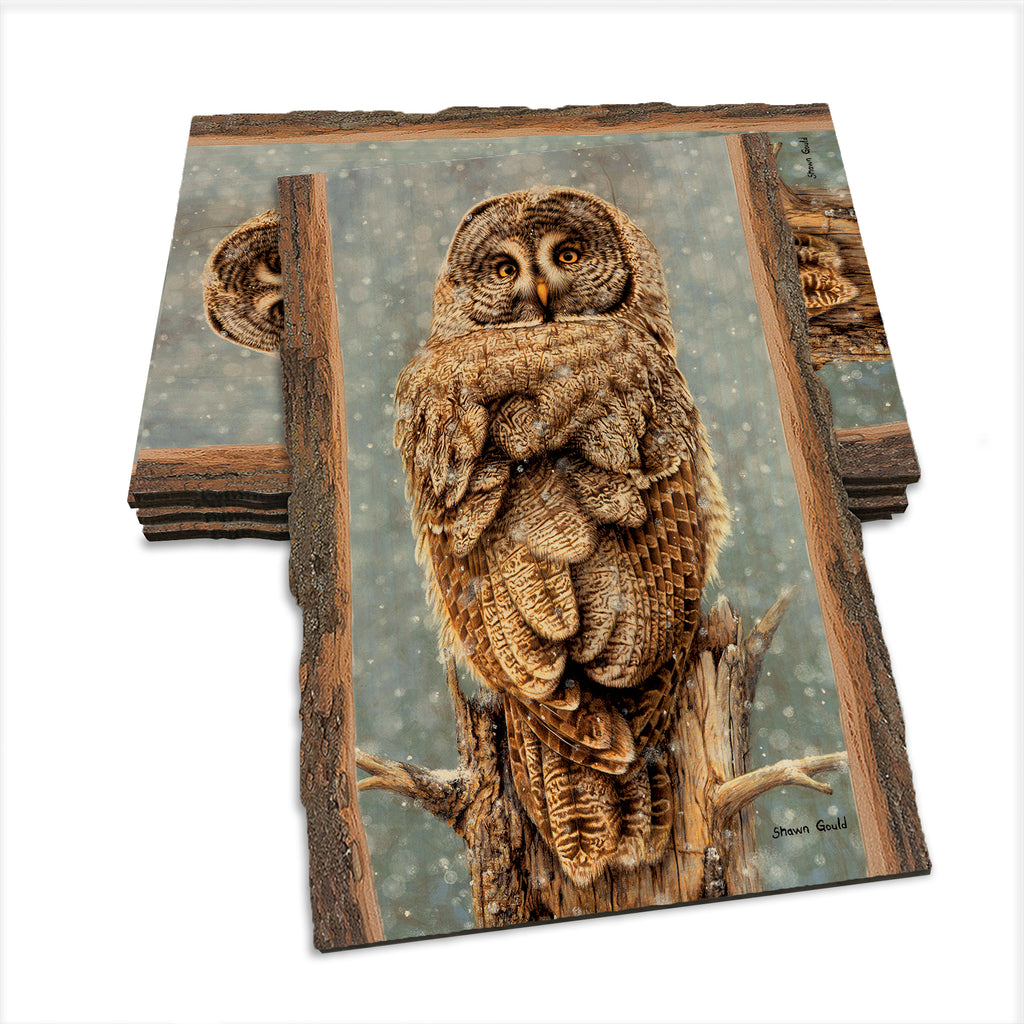 Gould's Great Gray - Live Edge Live Edge Postcard (5pk // $2.80ea)