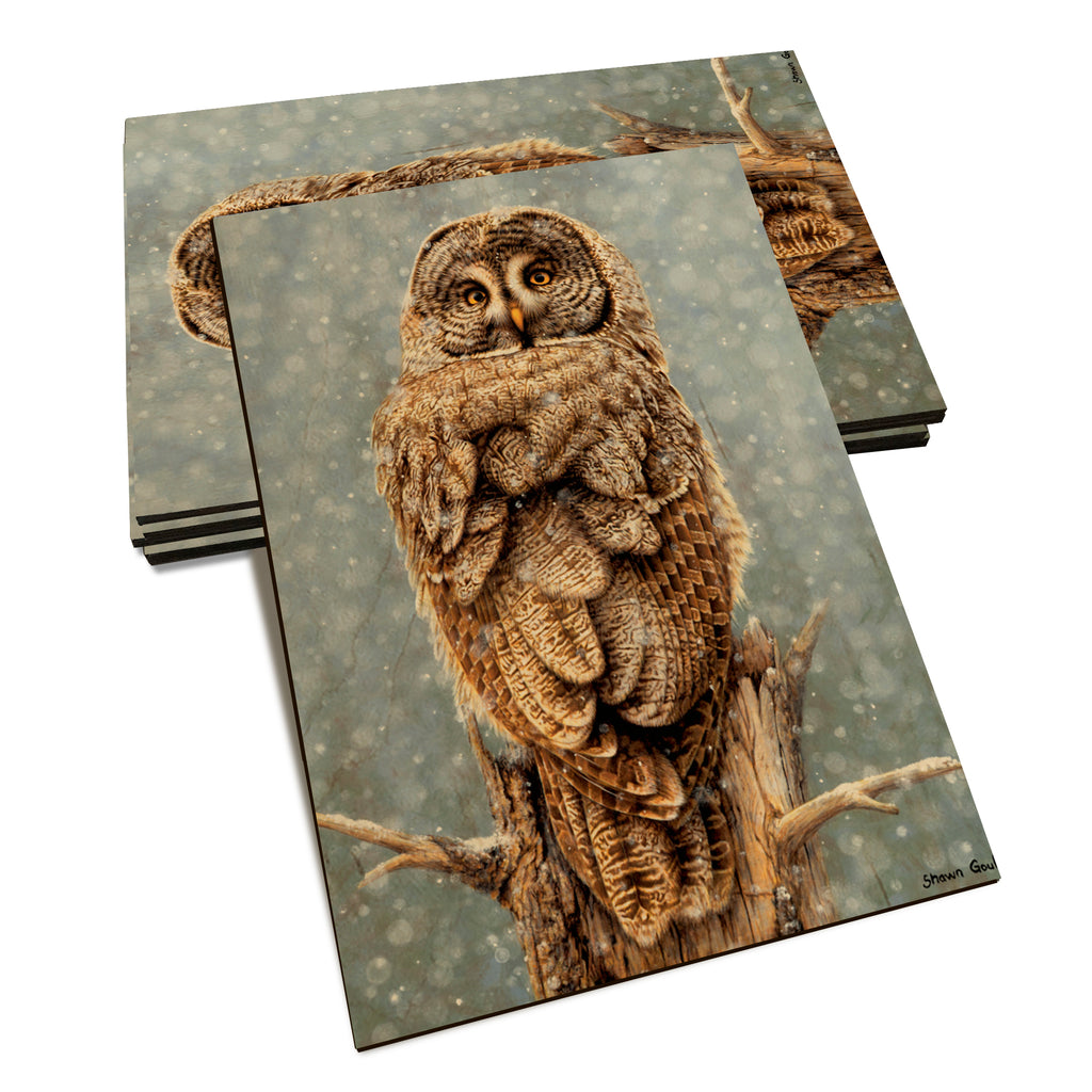 Gould's Great Gray - Classic Edge Classic Edge Postcard (5pk // $2.80ea)