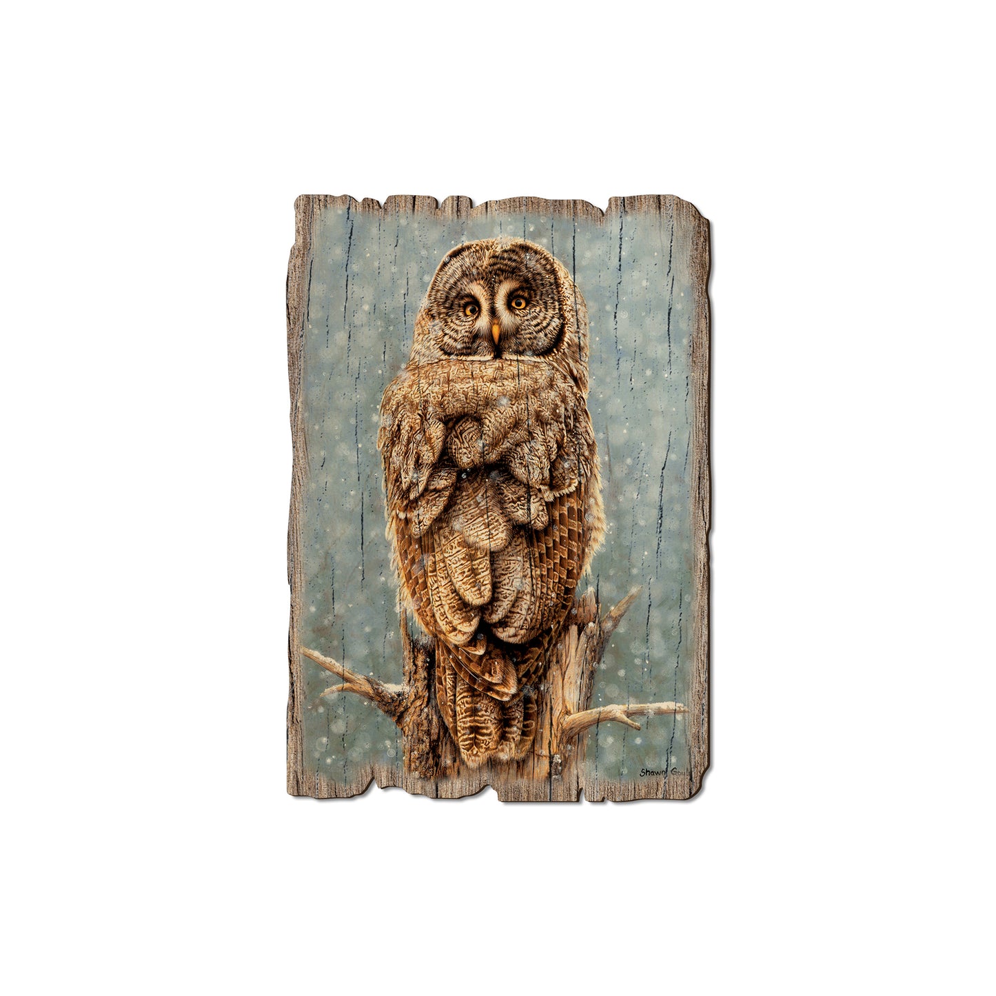 Gould's Great Gray - Rustic Edge Postcards & Magnets Rustic Edge Magnet (5pk // $2.80ea)