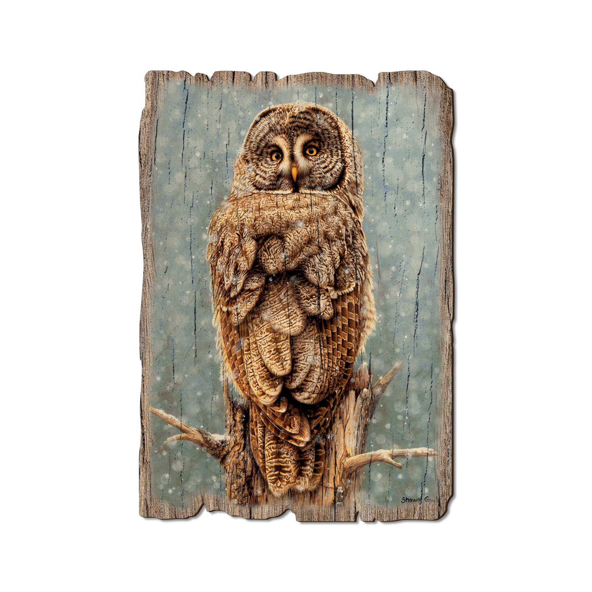 Gould's Great Gray - Rustic Edge Postcards & Magnets Rustic Edge Postcard (5pk // $2.80ea)