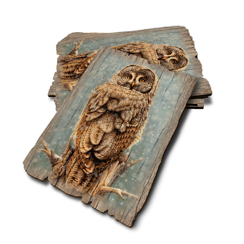 Gould's Great Gray - Weathered Edge Rustic Edge Postcard (5pk // $2.80ea)