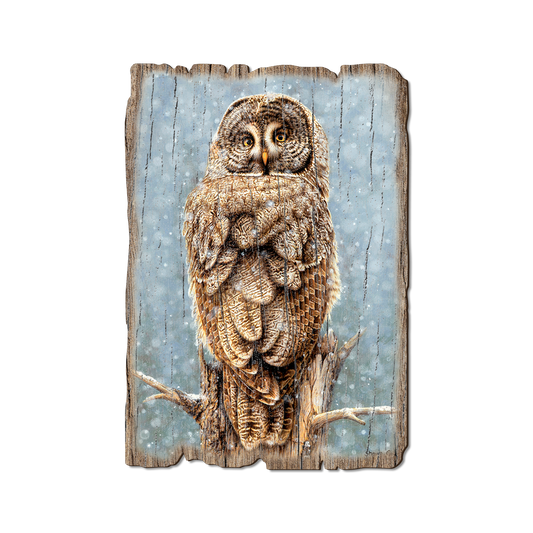 Greeting Card: Weathered Edge - Gould's Great Gray