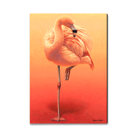 Magnet: Classic Edge - Gould's Hot Pink