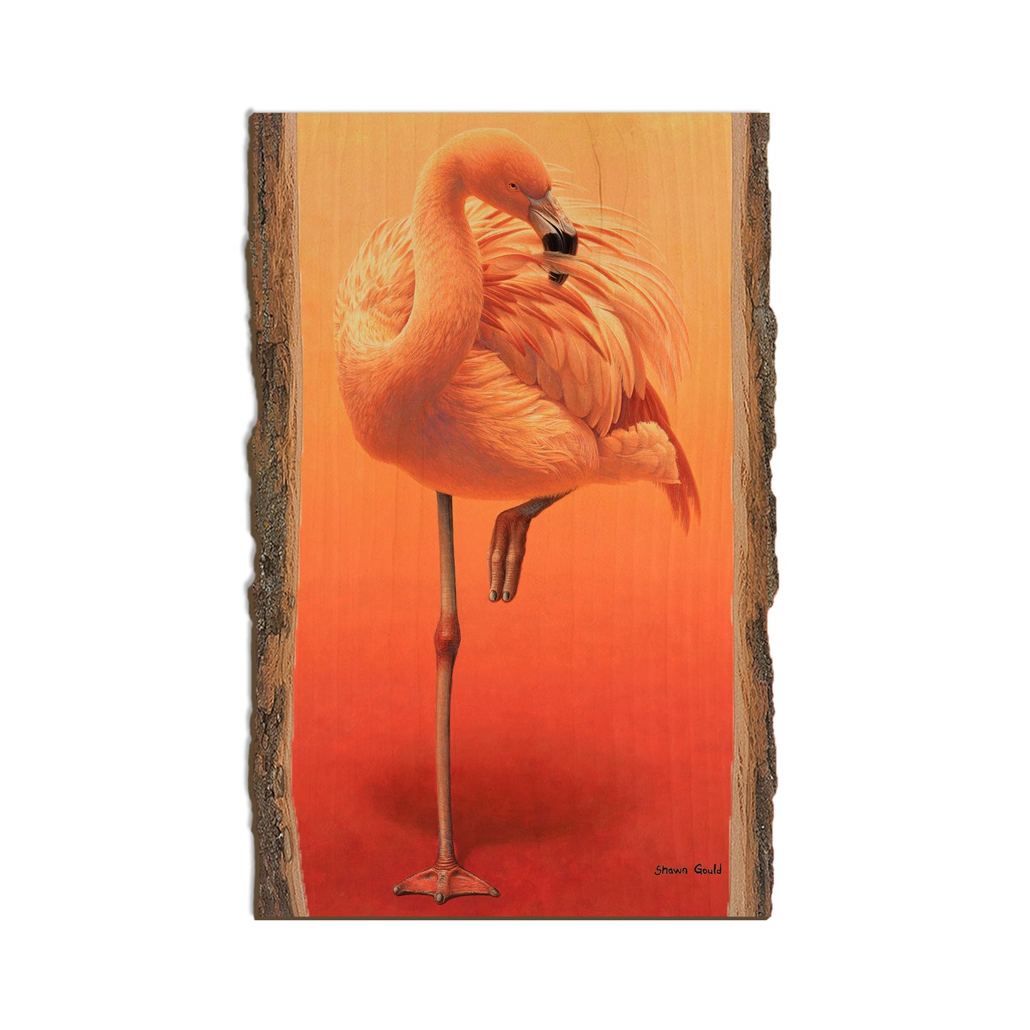 Gould's Hot Pink - Live Edge Live Edge Magnet (5pk // $2.80ea)