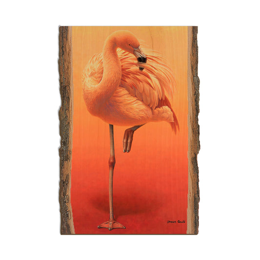 Gould's Hot Pink - Live Edge Live Edge Postcard (5pk // $2.80ea)