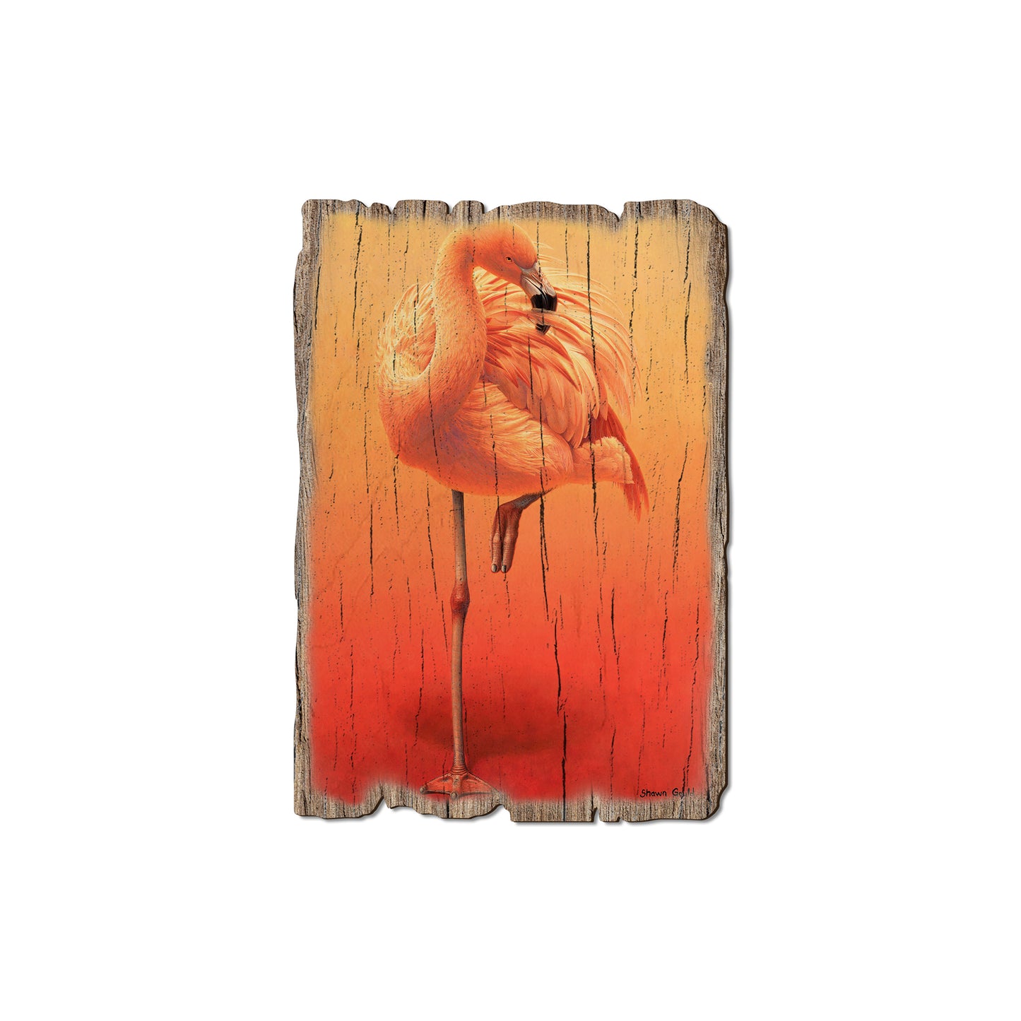 Gould's Hot Pink - Rustic Edge Postcards & Magnets Rustic Edge Magnet (5pk // $2.80ea)