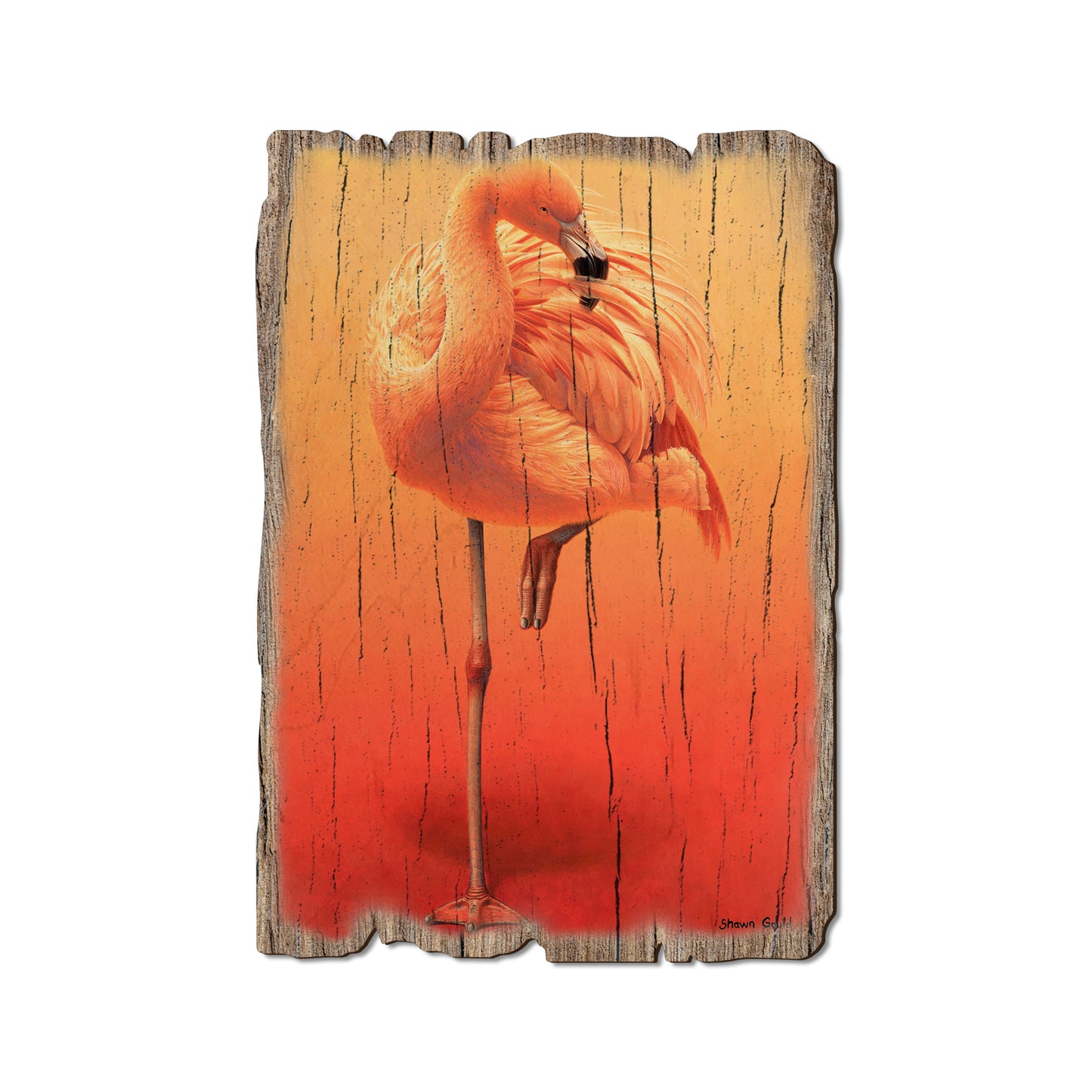 Gould's Hot Pink - Rustic Edge Postcards & Magnets Rustic Edge Postcard (5pk // $2.80ea)