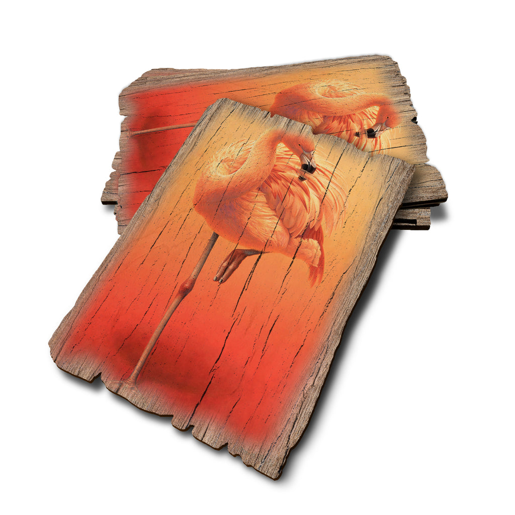 Gould's Hot Pink - Weathered Edge Rustic Edge Postcard (5pk // $2.80ea)