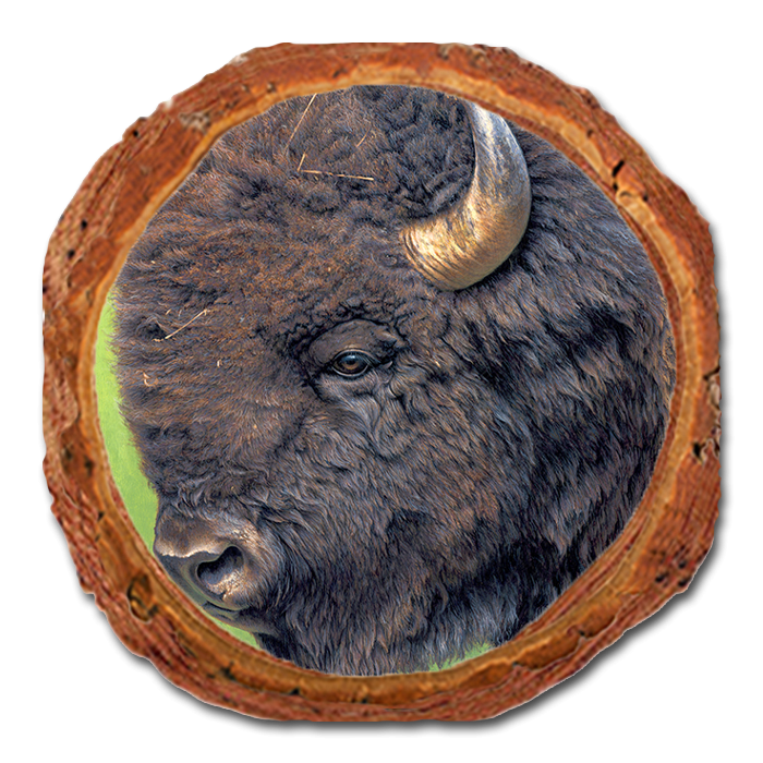 Coaster: Live Edge - Gould's In His Prime (Pack of 5)