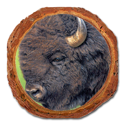 Coaster: Live Edge - Gould's In His Prime (Pack of 5)