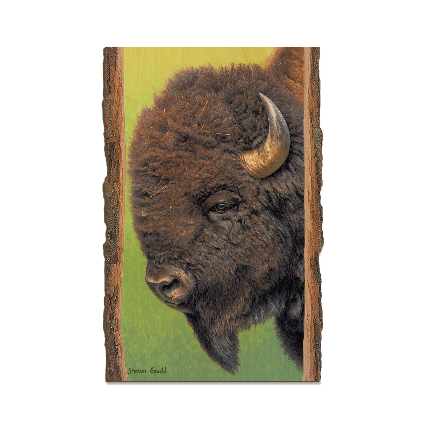 Gould's In His Prime - Live Edge Live Edge Magnet (5pk // $2.80ea)