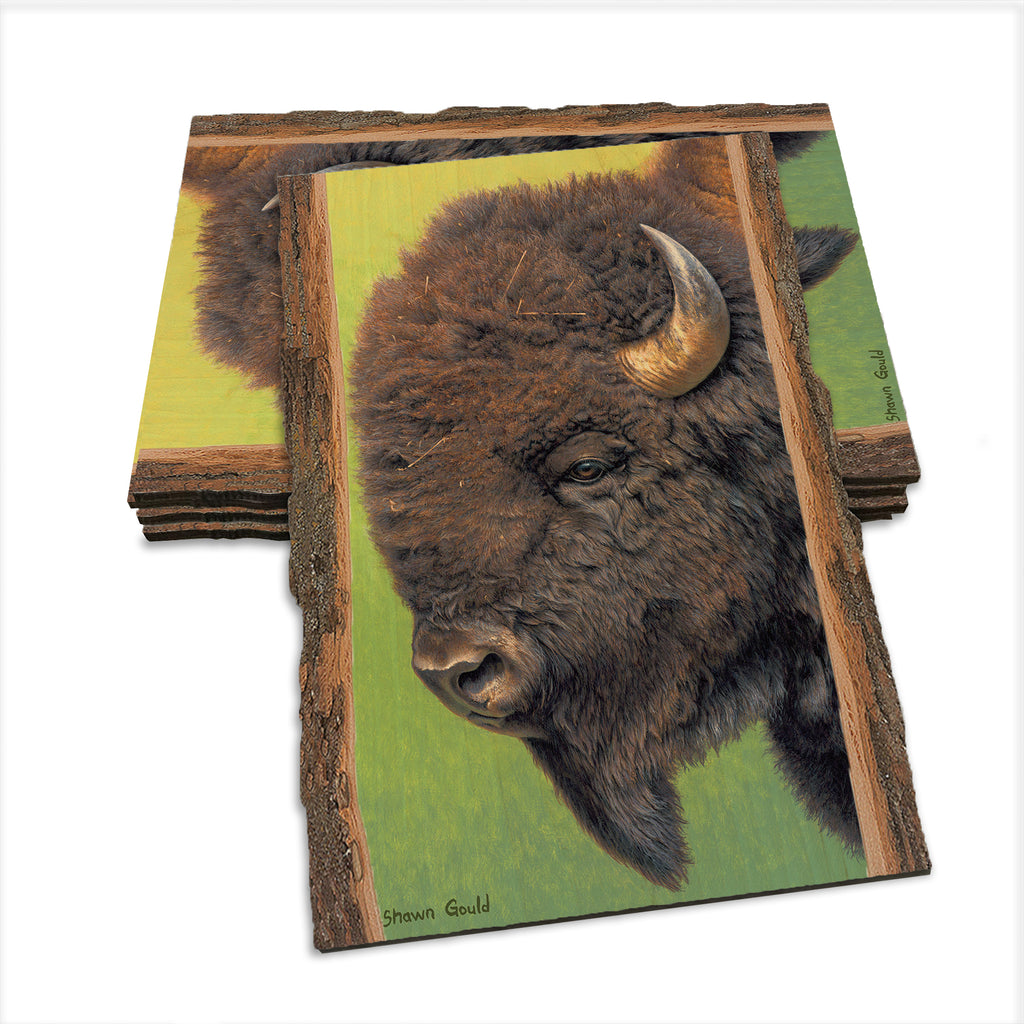 Gould's In His Prime - Live Edge Live Edge Postcard (5pk // $2.80ea)