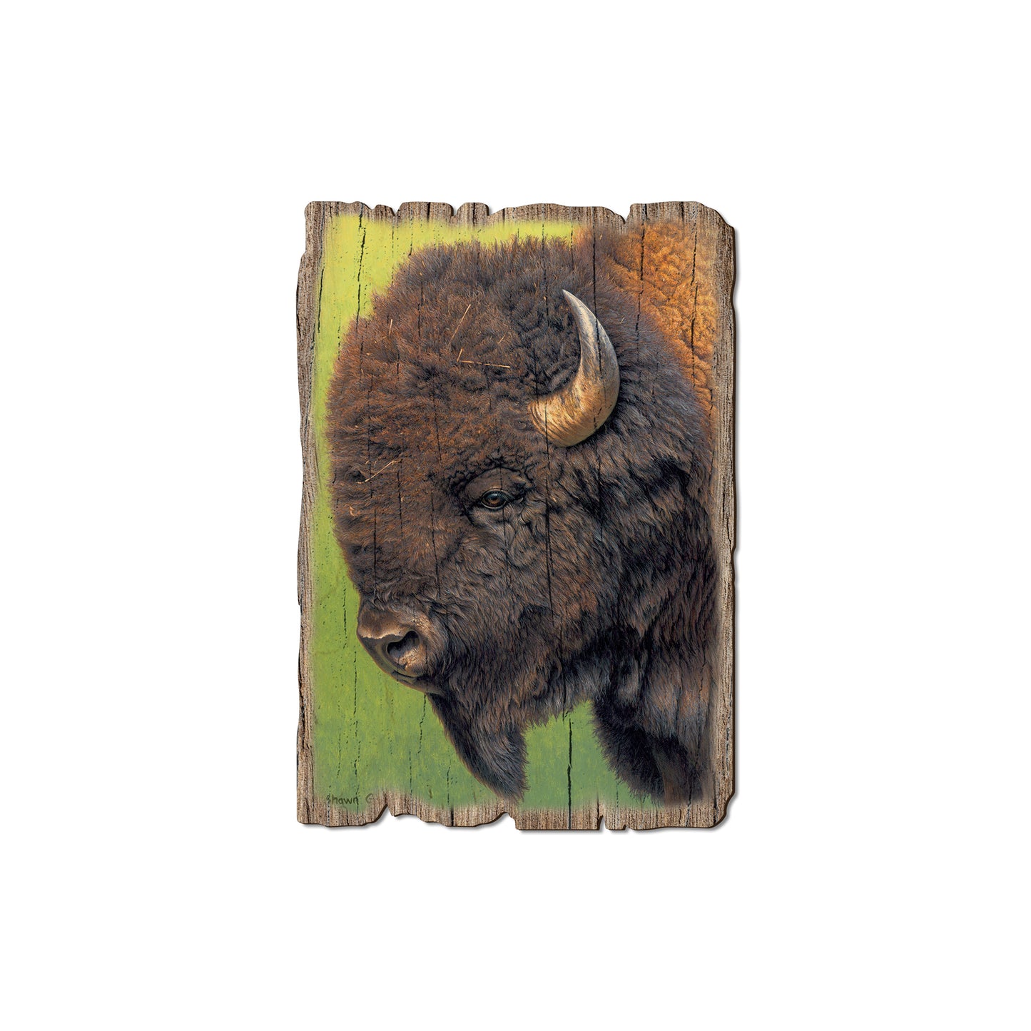 Gould's In His Prime - Rustic Edge Postcards & Magnets Rustic Edge Magnet (5pk // $2.80ea)