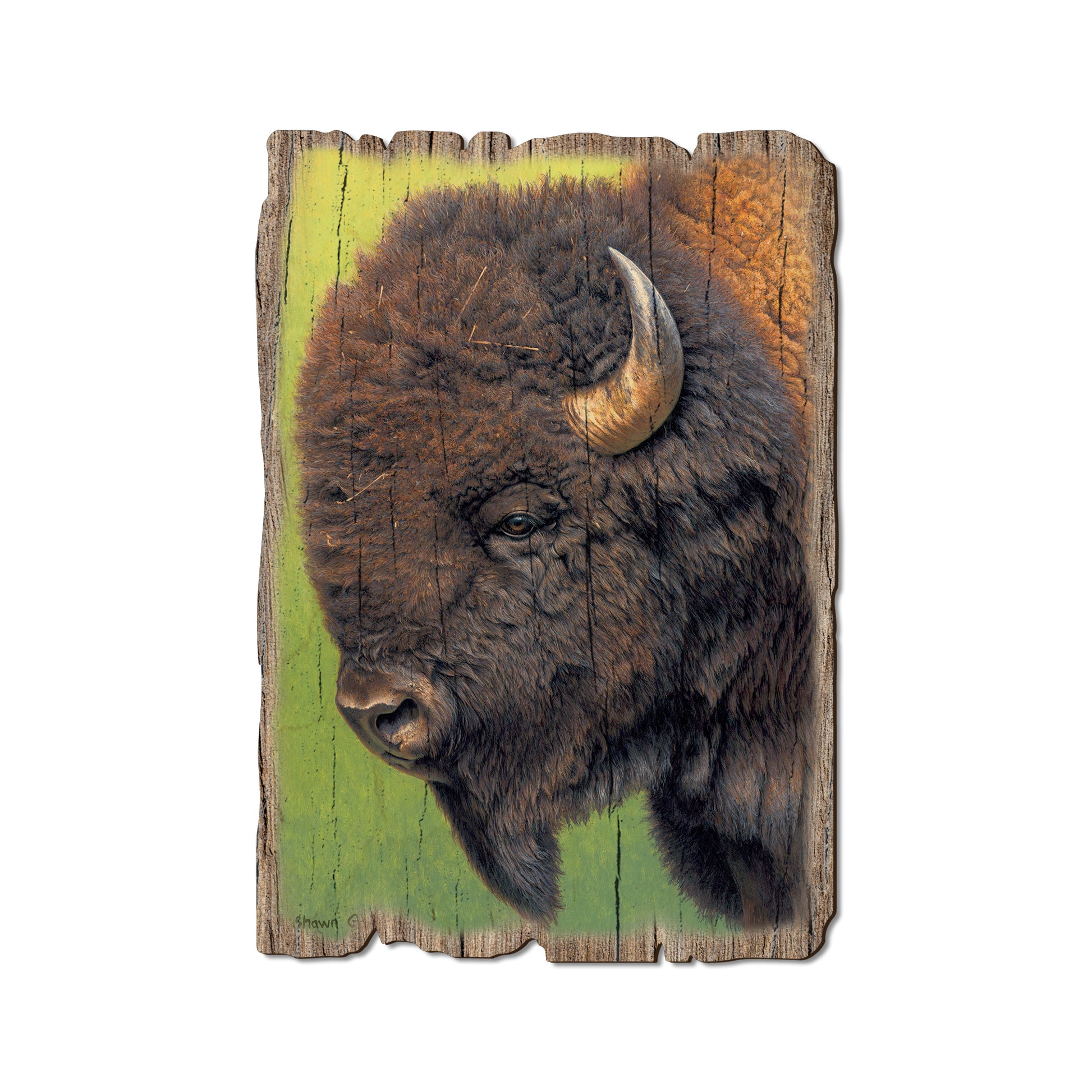 Gould's In His Prime - Rustic Edge Postcards & Magnets Rustic Edge Postcard (5pk // $2.80ea)