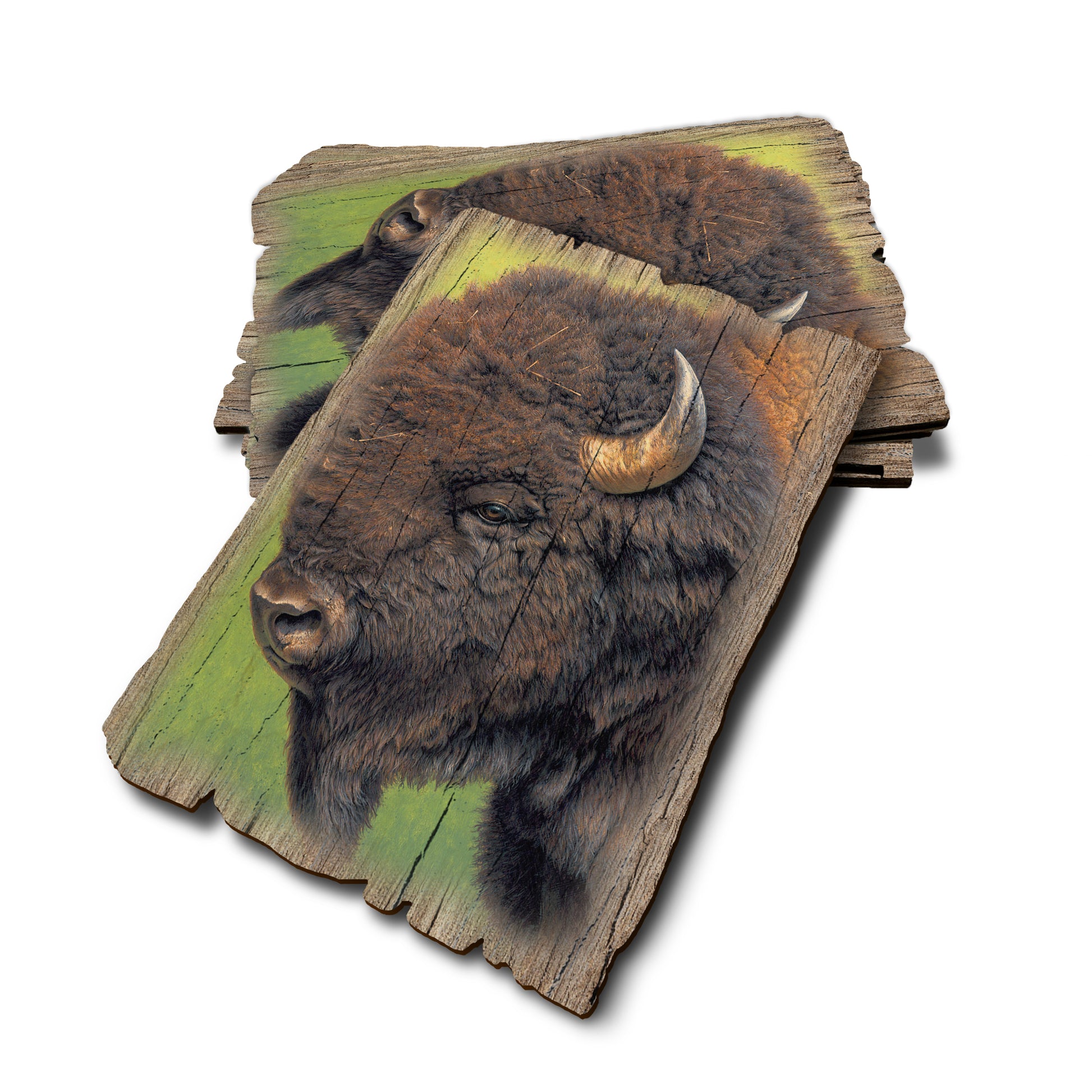 Gould's In His Prime - Weathered Edge Rustic Edge Postcard (5pk // $2.80ea)