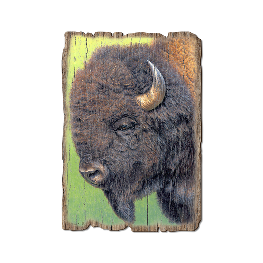 Greeting Card: Weathered Edge - Gould's In His Prime