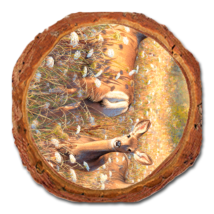 Coaster: Live Edge - Gould's Light and Lace