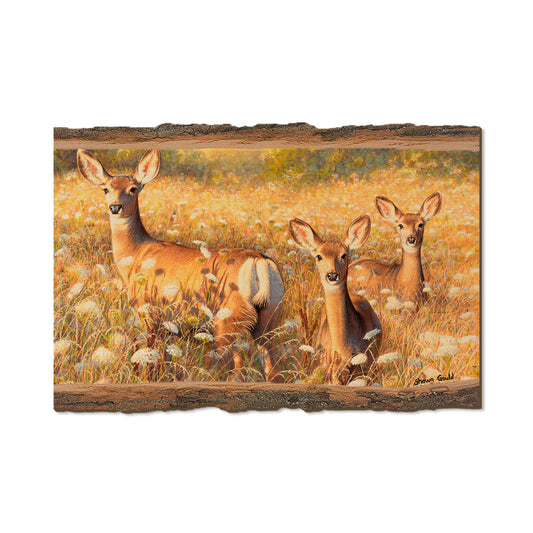 Gould's Light and Lace - Live Edge Live Edge Postcard (5pk // $2.80ea)