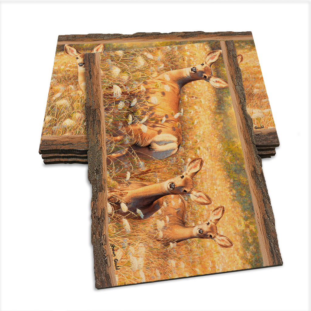 Gould's Light and Lace - Live Edge Live Edge Postcard (5pk // $2.80ea)